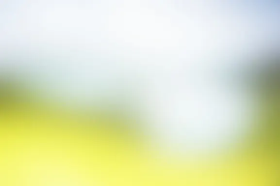 ΜΙΝΤ Καζίνο Υποστηριξη